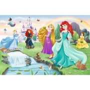 Imagine PUZZLE TREFL 60 DISNEY PRINCESS - INTALNESTE PRINTESA