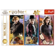 Imagine PUZZLE TREFL 200 IN LUMEA MAGIEI