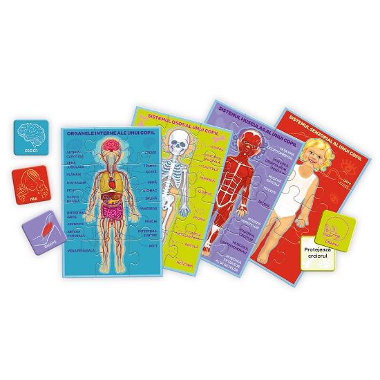 Imagine JOC CORPUL MEU MICUL EXPLORATOR