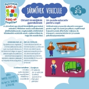 Imagine JOC VEHICULE