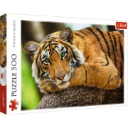 Imagine PUZZLE TREFL 500 PORTRETUL TIGRULUI