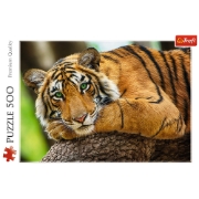 Imagine PUZZLE TREFL 500 PORTRETUL TIGRULUI