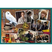 Imagine PUZZLE TREFL 10IN1 HARRY POTTER IN LUMEA LUI HARRY POTTER