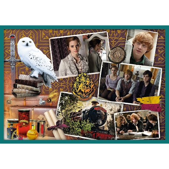 Imagine Puzzle Trefl 10in1 Harry Potter – În lumea lui Harry Potter