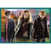Imagine PUZZLE TREFL 10IN1 HARRY POTTER IN LUMEA LUI HARRY POTTER