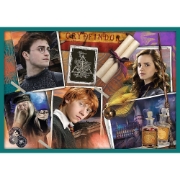 Imagine PUZZLE TREFL 10IN1 HARRY POTTER IN LUMEA LUI HARRY POTTER
