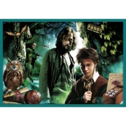 Imagine PUZZLE TREFL 10IN1 HARRY POTTER IN LUMEA LUI HARRY POTTER