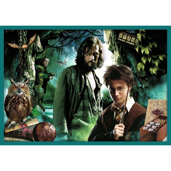 Imagine Puzzle Trefl 10in1 Harry Potter – În lumea lui Harry Potter