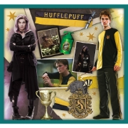 Imagine PUZZLE TREFL 10IN1 HARRY POTTER IN LUMEA LUI HARRY POTTER