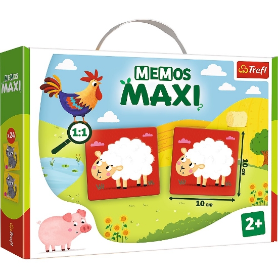Imagine JOC MEMOS MAXI FERMA DRAGALASA