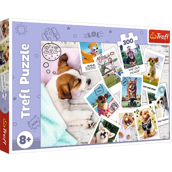 Imagine PUZZLE TREFL 300 POZE DIN VACANTA