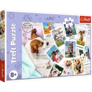 Imagine Puzzle Trefl 300 Poze din vacanță