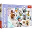 Imagine Puzzle Trefl 300 Poze din vacanță