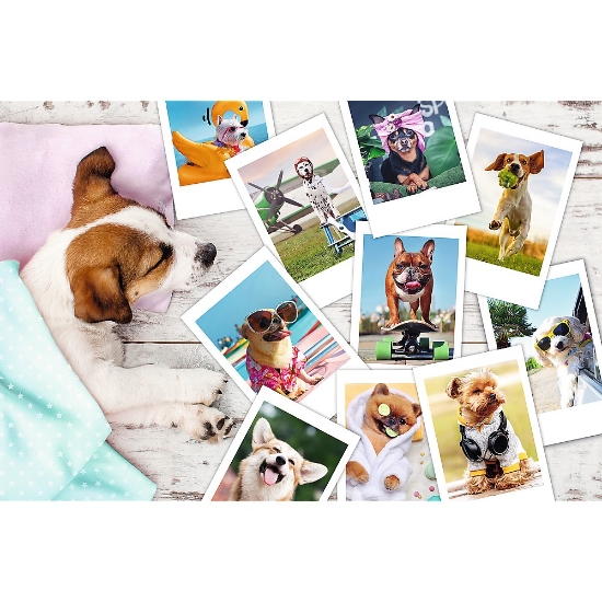 Imagine Puzzle Trefl 300 Poze din vacanță