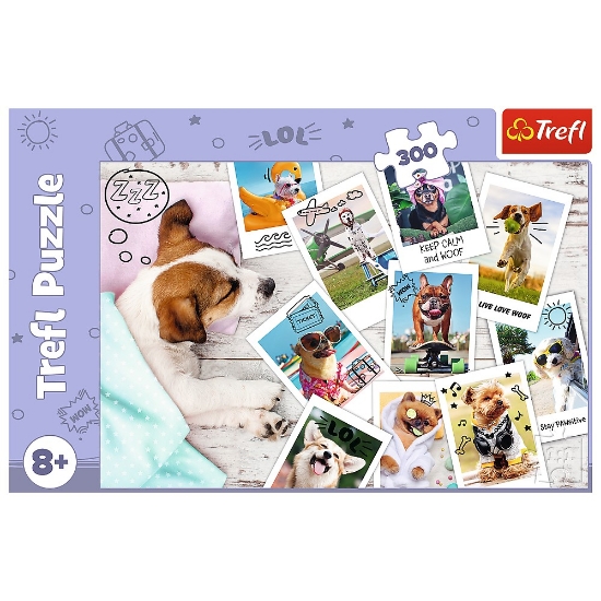 Imagine Puzzle Trefl 300 Poze din vacanță
