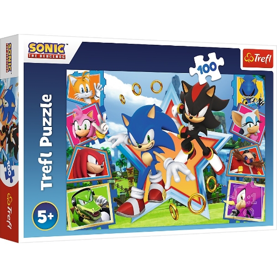 Imagine PUZZLE TREFL 100 SONIC MINUNATA LUME A LUI SONIC