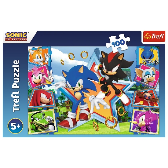 Imagine Puzzle Trefl 100 Sonic – Minunata lume a lui Sonic