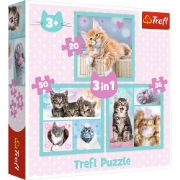 Imagine PUZZLE TREFL 3IN1 PISICUTELE DRAGALASE