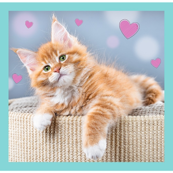 Imagine Puzzle Trefl 3in1 Pisicuțele drăgălașe