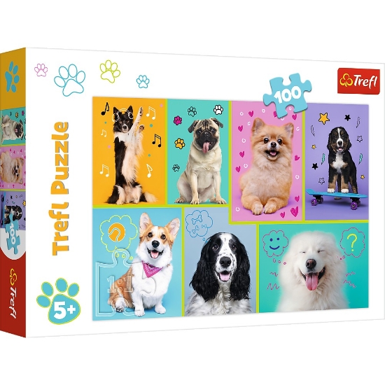 Imagine PUZZLE TREFL 100 IN LUMEA CATEILOR