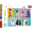 Imagine Puzzle Trefl 100 În lumea cățeilor