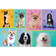 Imagine PUZZLE TREFL 100 IN LUMEA CATEILOR