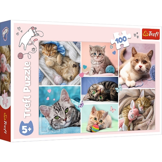 Imagine PUZZLE TREFL 100 IN LUMEA PISICILOR