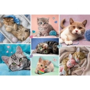 Imagine PUZZLE TREFL 100 IN LUMEA PISICILOR