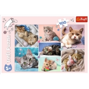 Imagine PUZZLE TREFL 100 IN LUMEA PISICILOR