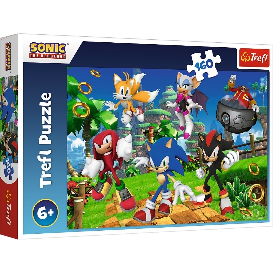 Imagine PUZZLE TREFL 160 SONIC SI PRIETENII