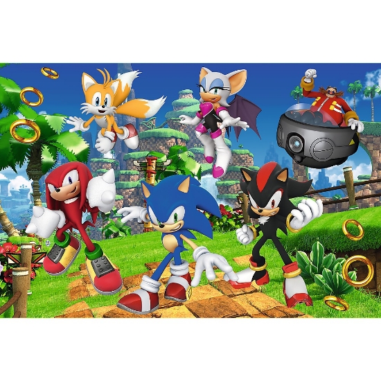 Imagine Puzzle Trefl 160 Sonic și prietenii