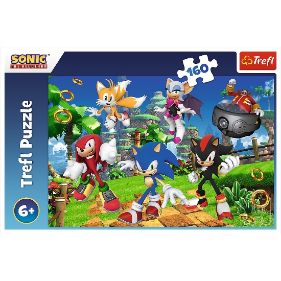Imagine Puzzle Trefl 160 Sonic și prietenii