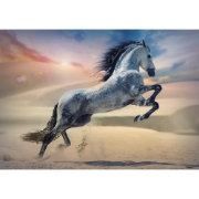 Imagine PUZZLE TREFL 1000 CALUL MAIESTUOS