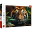 Imagine Puzzle Trefl 1000 Tigru sălbatic