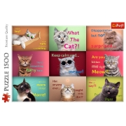 Imagine PUZZLE TREFL 1500 PISICUTE AMUZANTE