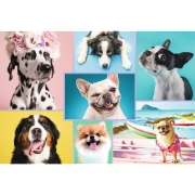 Imagine PUZZLE TREFL 1500 CATELUSII AMUZANTI
