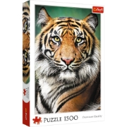 Imagine PUZZLE TREFL 1500 PORTRET TIGRU