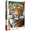 Imagine Puzzle Trefl 1500 Portret Tigru
