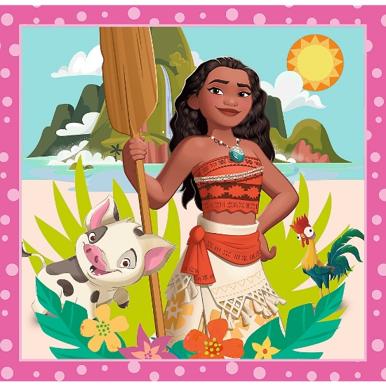 Imagine Puzzle Trefl 3in1 Disney Princess Flori Minunate