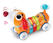 Imagine WINFUN CATELUS CU TELECOMANDA