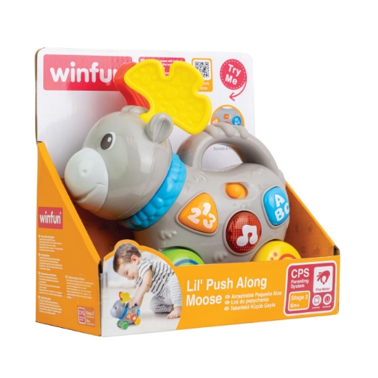Imagine WINFUN JUCARIE DE IMPINS ELAN