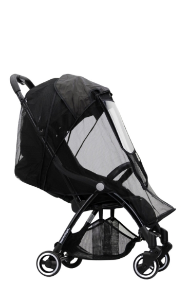 Imagine PLASA INSECTE CARUCIOR HAMILTON