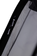 Imagine PLASA INSECTE CARUCIOR HAMILTON