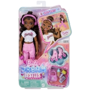Imagine BARBIE DREAM BESTIES PAPUSA BARBIE BROOKLYN PETRECERE PE ROLE