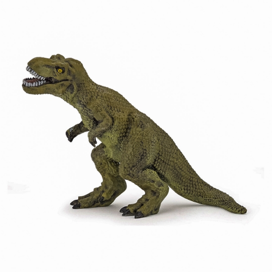 Imagine PAPO FIGURINA SET 6 MINI FIGURINE DINOZAURI
