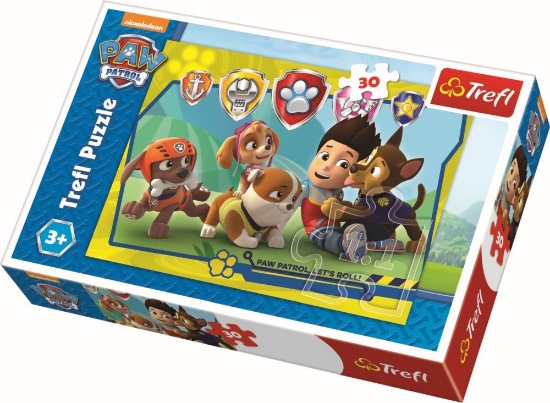 Imagine Puzzle Trefl 30 Ryder și prietenii