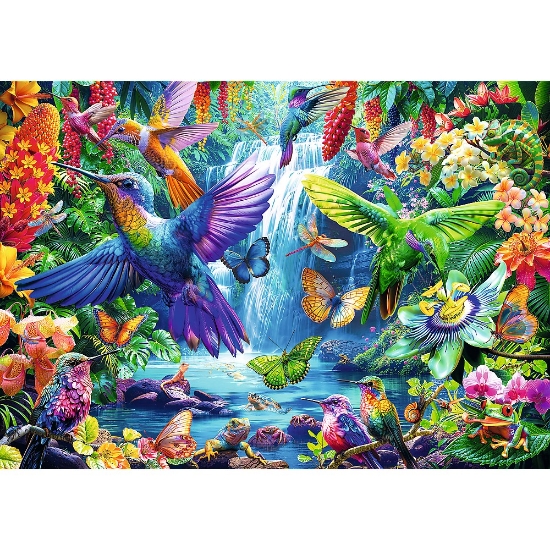 Imagine Puzzle Trefl 1000 Colibri tropicali