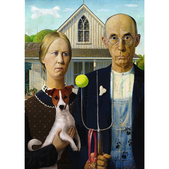 Imagine  Puzzle Trefl 500 American Gothic
