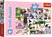 Imagine PUZZLE TREFL 60 O LUME A PISICILOR
