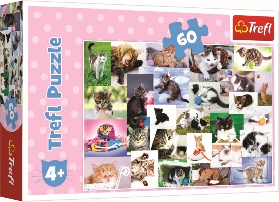 Imagine PUZZLE TREFL 60 O LUME A PISICILOR